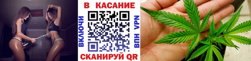 Купить закладку Конопля  Alpha-PVP  ГАШ  Амфетамин  МЕФ  Кадников