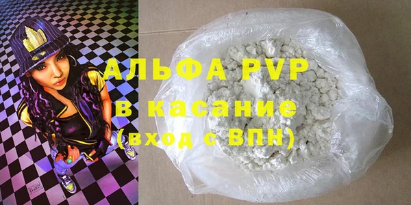 PSILOCYBIN Каменногорск