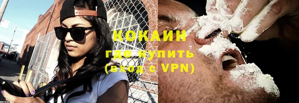 PSILOCYBIN Каменногорск