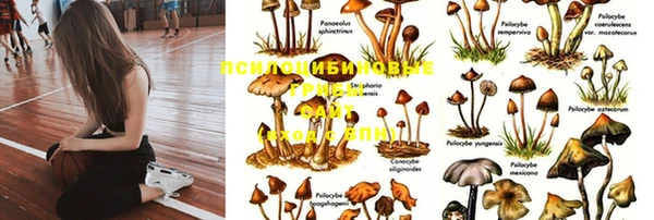 экстази Каменка