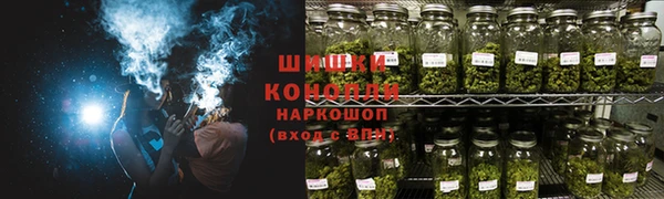 PSILOCYBIN Каменногорск